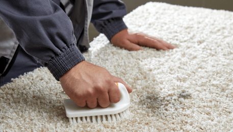 Professional Rug Cleaning Croydon